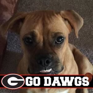 Meet your Posher, Tony